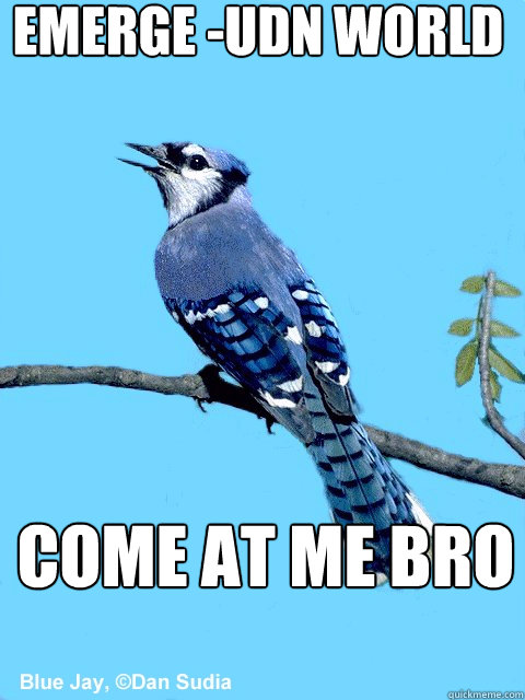 emerge -uDN world COME at me bro - emerge -uDN world COME at me bro  Blue Team Bird