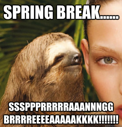 spring break...... sssppprrrrraaannngg brrrreeeeaaaaakkkk!!!!!!!  - spring break...... sssppprrrrraaannngg brrrreeeeaaaaakkkk!!!!!!!   Whispering Sloth