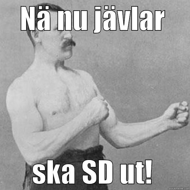 NÄ NU JÄVLAR SKA SD UT! overly manly man
