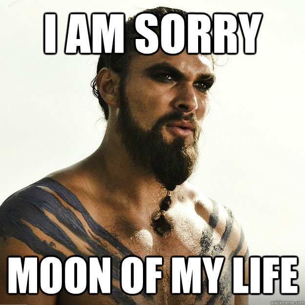 i am sorry  moon of my life  