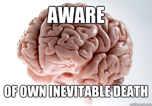aware of own inevitable death  Scumbag Brain