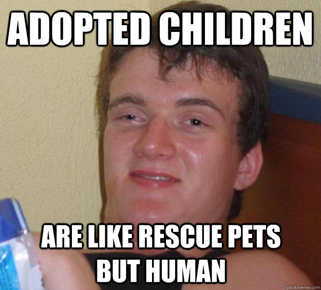 Adopted children Are like rescue pets      But human - Adopted children Are like rescue pets      But human  10 Guy