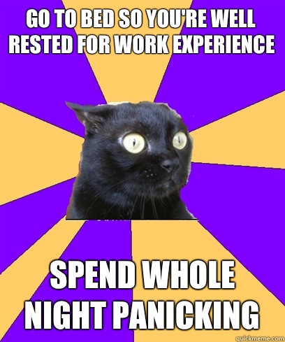 GO TO BED SO YOU'RE WELL RESTED FOR WORK EXPERIENCE SPEND WHOLE NIGHT PANICKING ____ - GO TO BED SO YOU'RE WELL RESTED FOR WORK EXPERIENCE SPEND WHOLE NIGHT PANICKING ____  Anxiety Cat