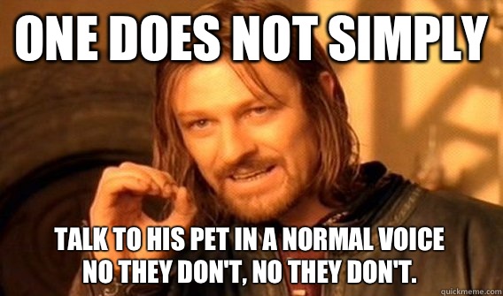 ONE DOES NOT SIMPLY TALK TO HIS PET IN A NORMAL VOICE
NO THEY DON'T, NO THEY DON'T.   