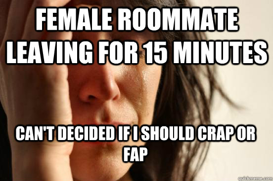 Female roommate leaving for 15 minutes   Can't decided if I should crap or fap  First World Problems