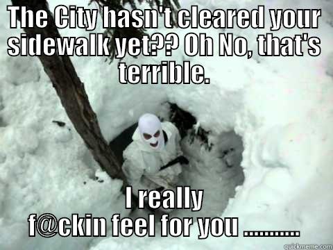THE CITY HASN'T CLEARED YOUR SIDEWALK YET?? OH NO, THAT'S TERRIBLE. I REALLY F@CKIN FEEL FOR YOU ........... Misc