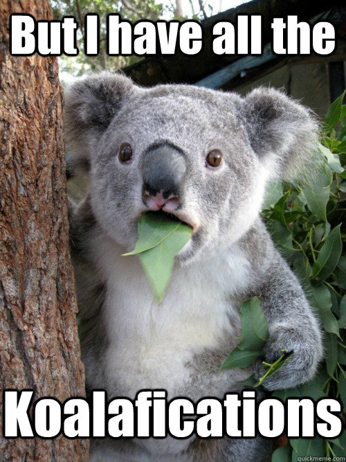 But I have all the Koalafications  