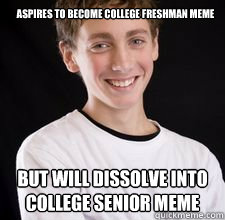 Aspires to become college freshman meme but will dissolve into college senior meme  High School Freshman