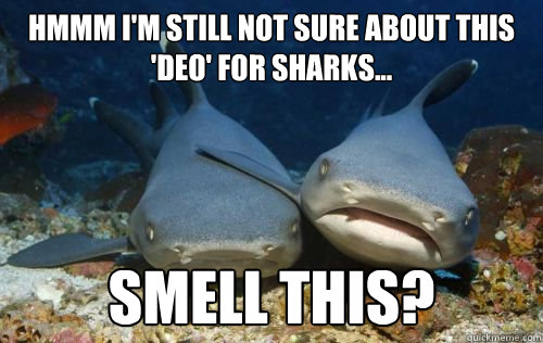 Hmmm i'm still not sure about this 'deo' for sharks... smell this?  Compassionate Shark Friend