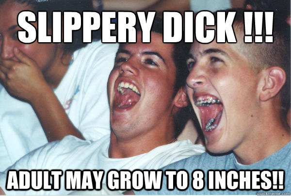 SLIPPERY DICK !!! ADULT MAY GROW TO 8 INCHES!!  Immature High Schoolers