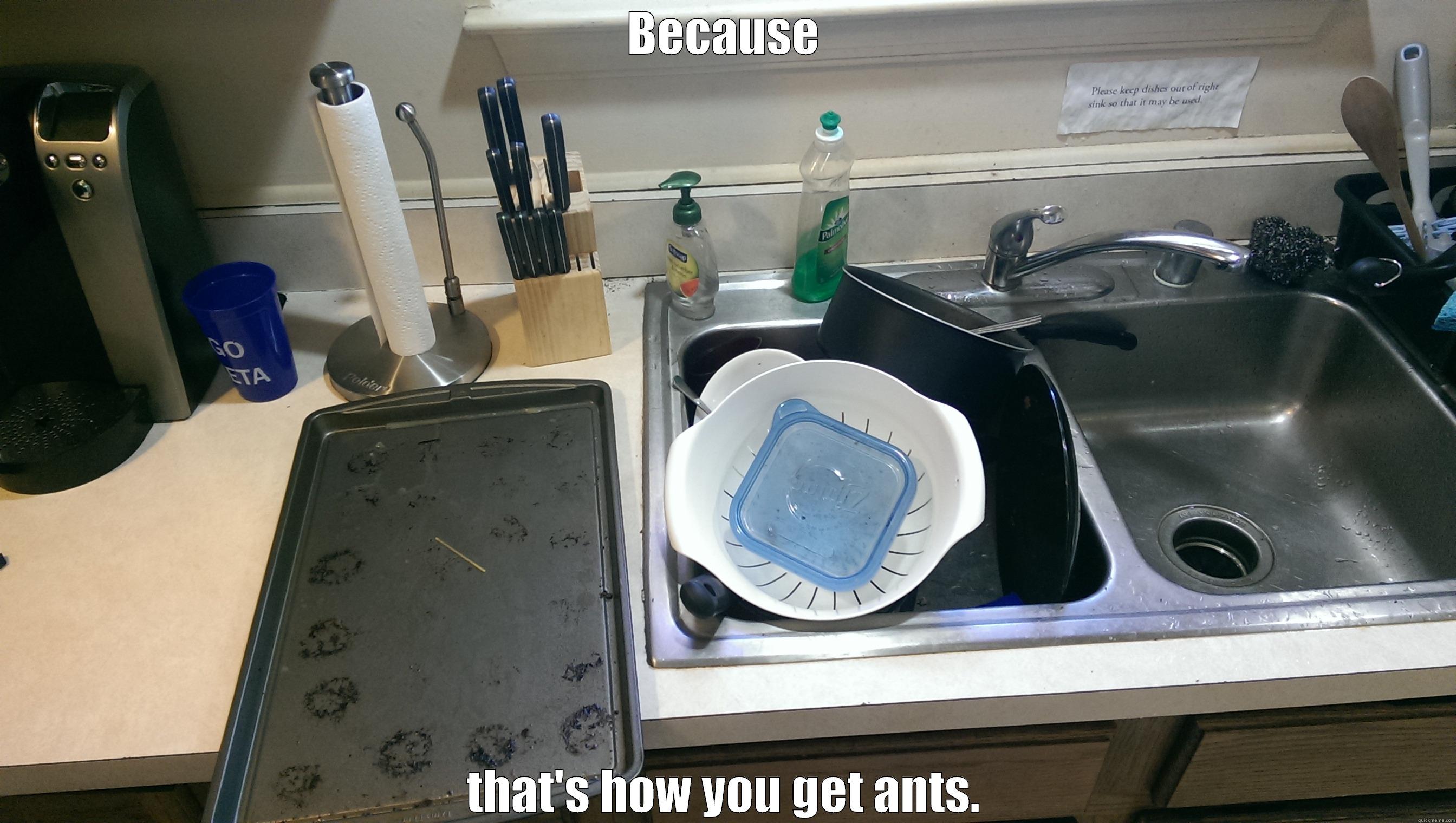 BECAUSE THAT'S HOW YOU GET ANTS. Misc