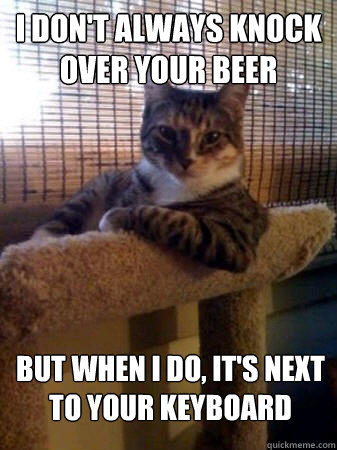 I don't always knock over your beer but when I do, it's next to your keyboard  The Most Interesting Cat in the World