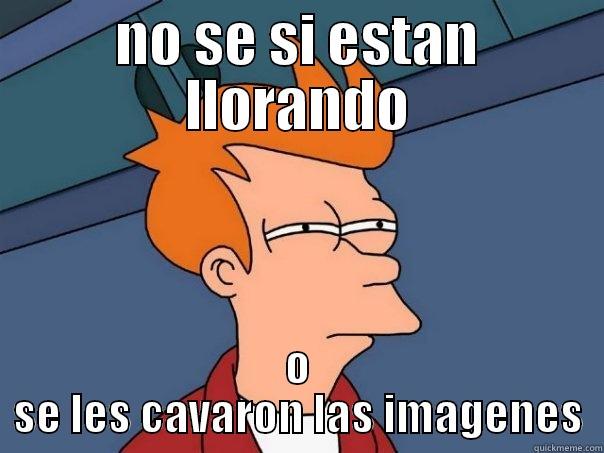 NO SE SI ESTAN LLORANDO O SE LES CAVARON LAS IMAGENES Futurama Fry