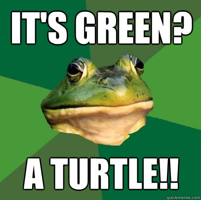 It's green? A Turtle!!  Foul Bachelor Frog