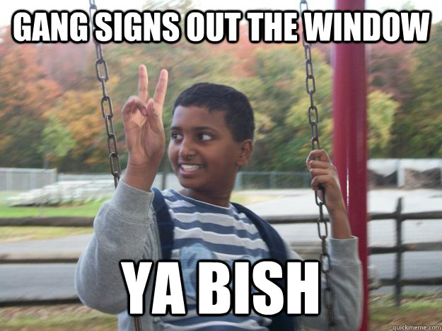 gang signs out the window ya bish - gang signs out the window ya bish  Reckless Rohin