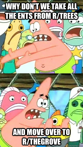 Why don't we take all the Ents from r/Trees and move over to r/TheGrove  Push it somewhere else Patrick