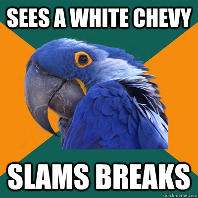 Sees a white chevy Slams breaks  Paranoid Parrot