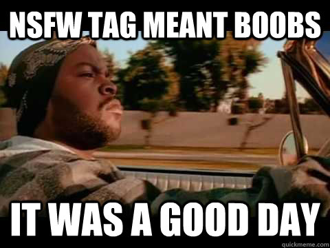 nsfw tag meant boobs it was a good day - nsfw tag meant boobs it was a good day  Ice Cube