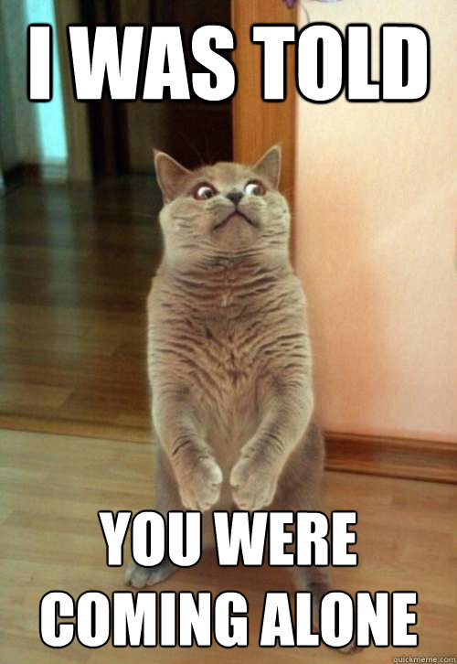 i was told you were coming alone  Horrorcat