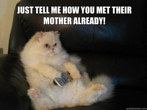 Just tell me how you met their mother already!  Disapproving TV Cat