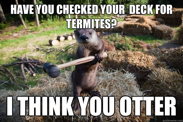 Have you checked your  deck for termites? I think you otter - Have you checked your  deck for termites? I think you otter  Handy Otter