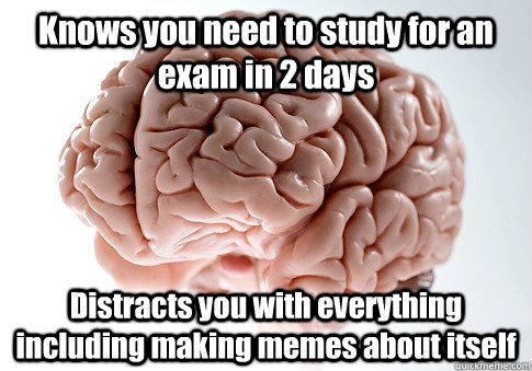 Knows you need to study for an exam in 2 days Distracts you with everything including making memes about itself   Scumbag Brain