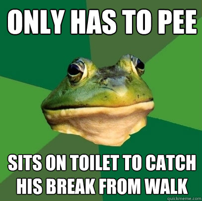 ONLY HAS TO PEE SITS ON TOILET TO CATCH HIS BREAK FROM WALK  Foul Bachelor Frog
