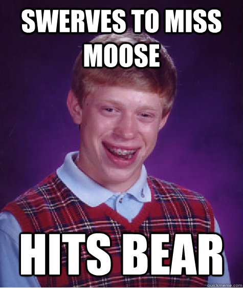 Swerves to miss moose Hits bear  Bad Luck Brian
