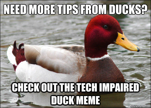Need more tips from ducks?
 Check out the Tech Impaired Duck meme - Need more tips from ducks?
 Check out the Tech Impaired Duck meme  Malicious Advice Mallard