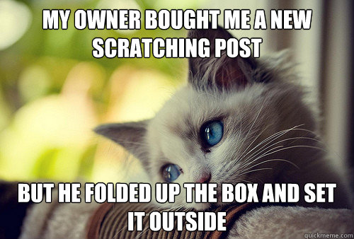my owner bought me a new scratching post but he folded up the box and set it outside  First World Problems Cat