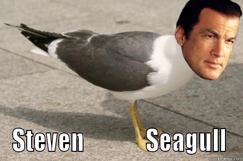  STEVEN              SEAGULL Misc