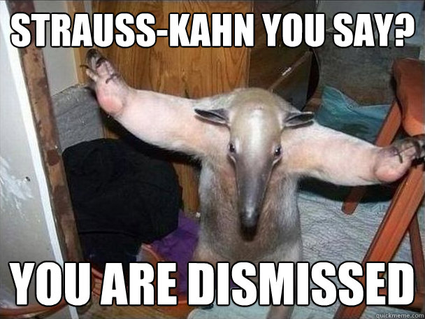 strauss-kahn you say? you are dismissed  I got this