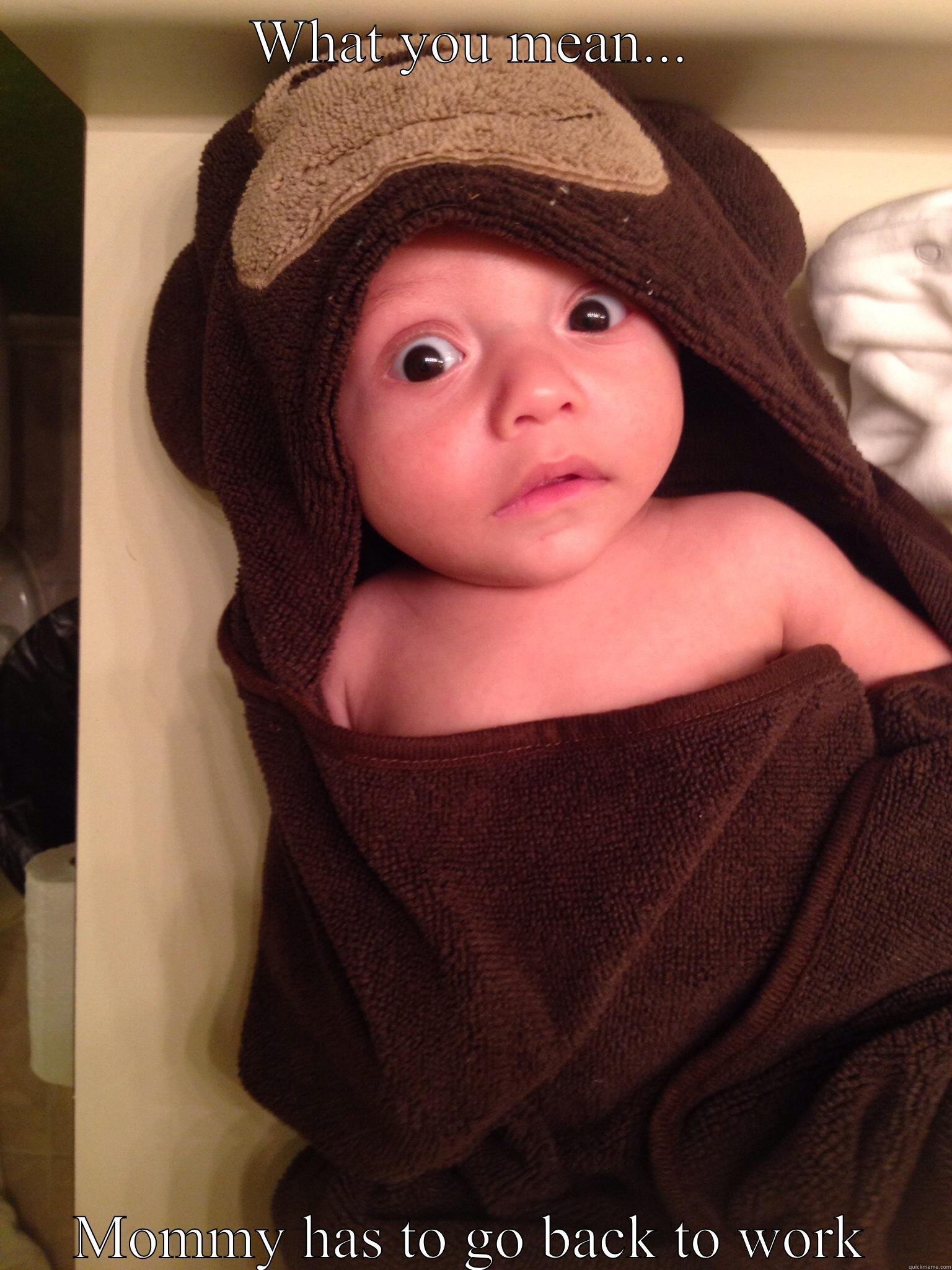 Back to work - WHAT YOU MEAN... MOMMY HAS TO GO BACK TO WORK Misc