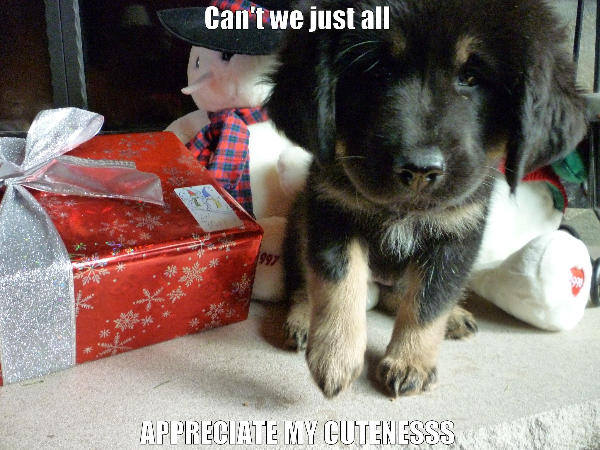 CAN'T WE JUST ALL APPRECIATE MY CUTENESSS Misc