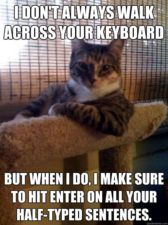 i don't always walk across your keyboard But when I do, I make sure to hit enter on all your half-typed sentences.  The Most Interesting Cat in the World
