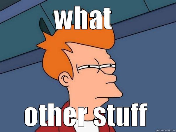 WHAT  OTHER STUFF Futurama Fry