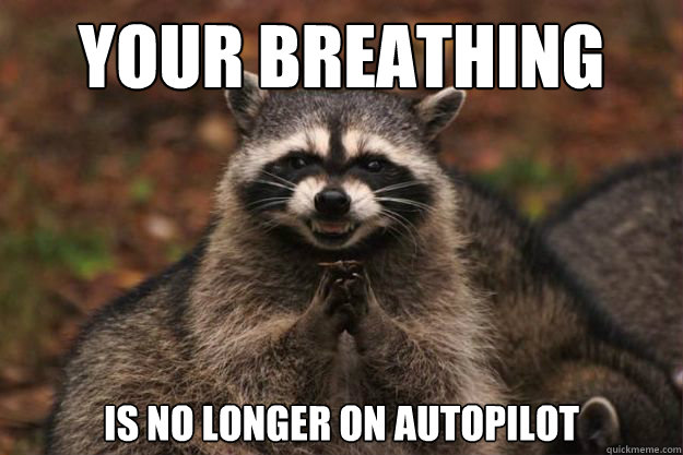 Your breathing Is no longer on autopilot  Evil genius racoon