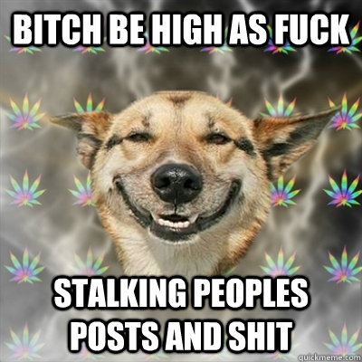 Bitch be high as fuck stalking peoples posts and shit  Stoner Dog