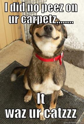 I DID NO PEEZ ON UR CARPETZ........ IT WAZ UR CATZZZ Good Dog Greg