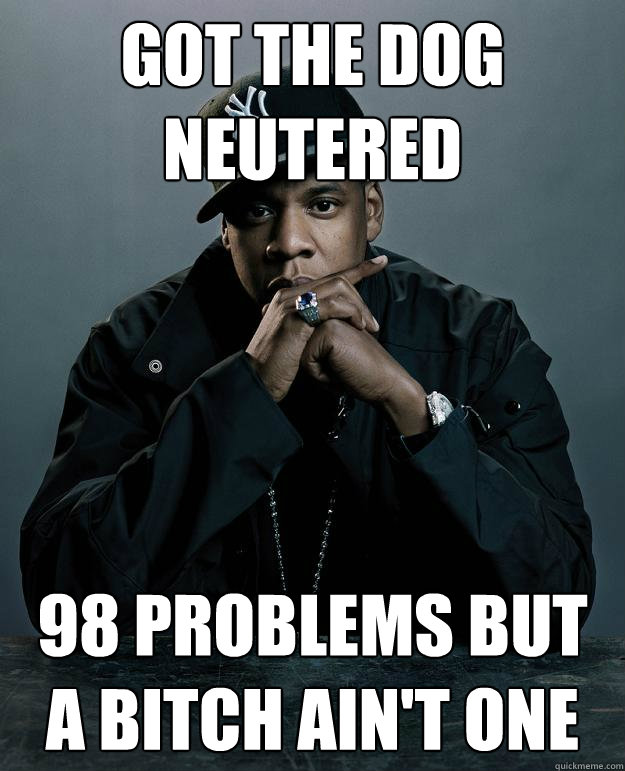 Got The dog  Neutered  98 problems but a bitch ain't one  Jay Z Problems