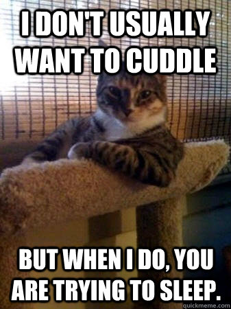I don't usually want to cuddle but when I do, you are trying to sleep.  The Most Interesting Cat in the World