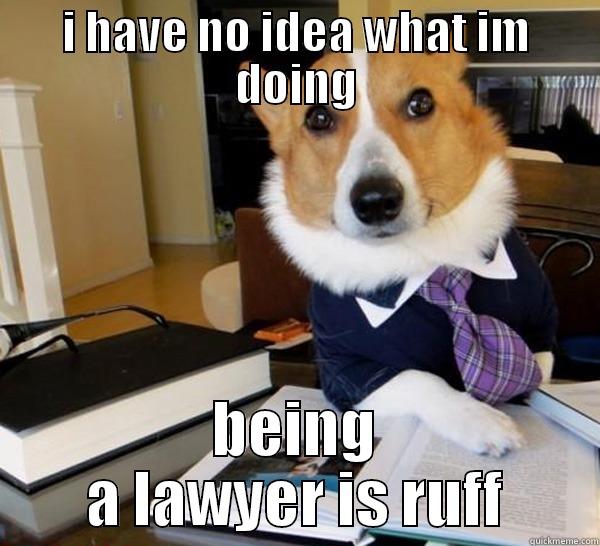 I HAVE NO IDEA WHAT IM DOING BEING A LAWYER IS RUFF Lawyer Dog