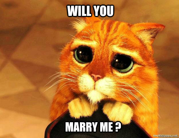 So Please Don T Leave Me Will You Marry Me Quickmeme