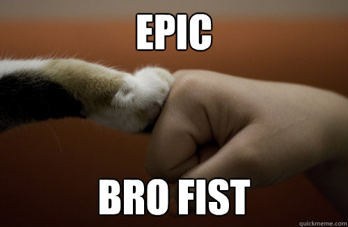 Epic bro fist  Cat fist