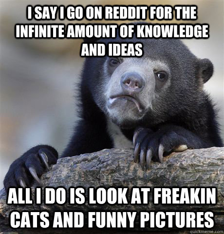 I say I go on reddit for the infinite amount of knowledge and ideas All i do is look at freakin cats and funny pictures  Confession Bear