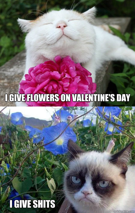 i give flowers on Valentine's Day i give shits  