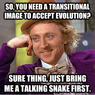 So, you need a transitional image to accept evolution? Sure thing, just bring me a talking snake first.  Condescending Wonka