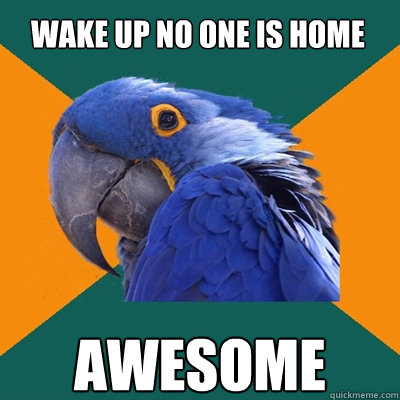 wake up no one is home
 awesome  Paranoid Parrot