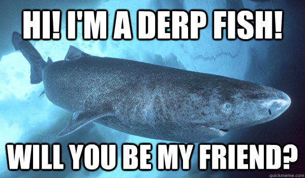Hi! I'm a derp fish! will you be my friend?  