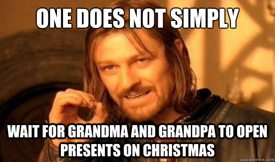 One Does Not Simply Wait for grandma and grandpa to open presents on christmas  Boromir
